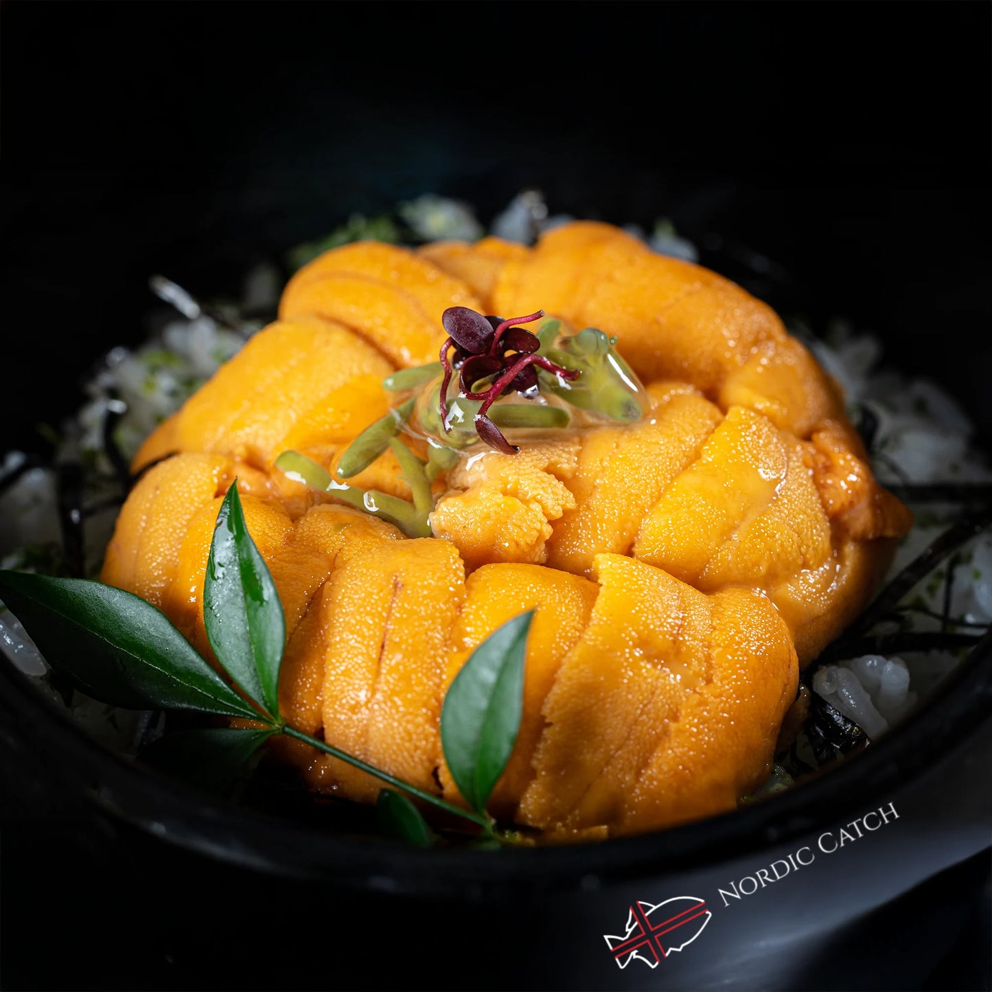 Fresh sea urchin roe with microgreens and edible flower garnish on a Nordic Catch plate