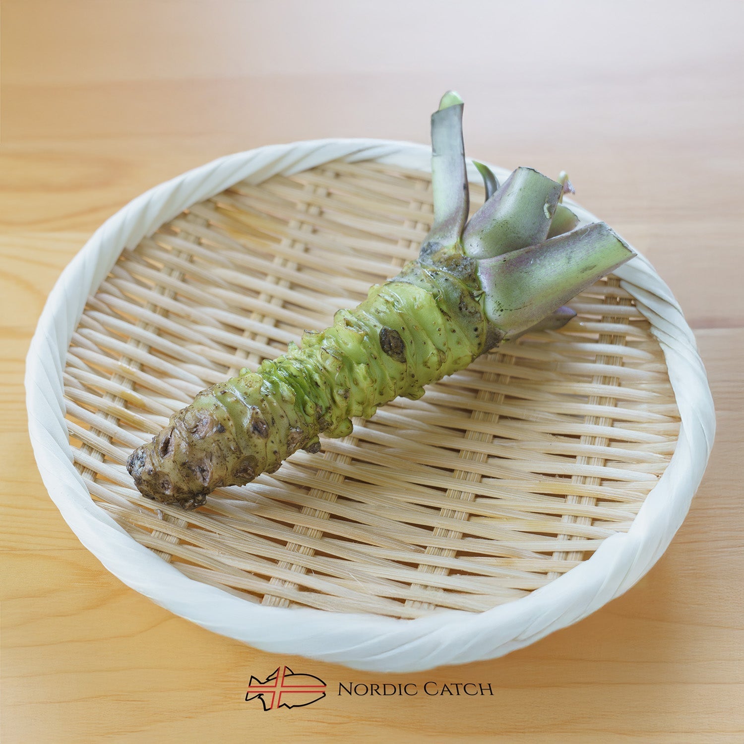 Fresh Japanese Wasabi Root + Steel Shark Grater Bundle - Nordic Catch