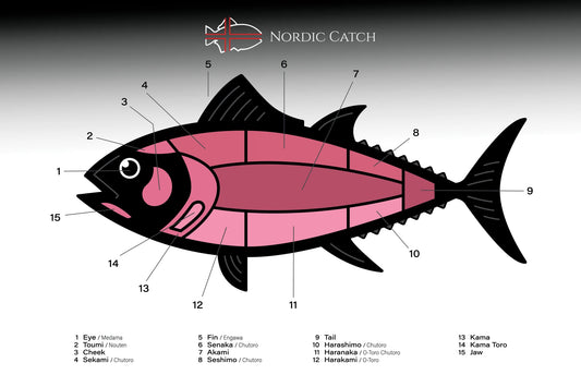 Otoro Bluefin Tuna Belly for Sashimi (1.5 - 2 LBS) - Nordic Catch