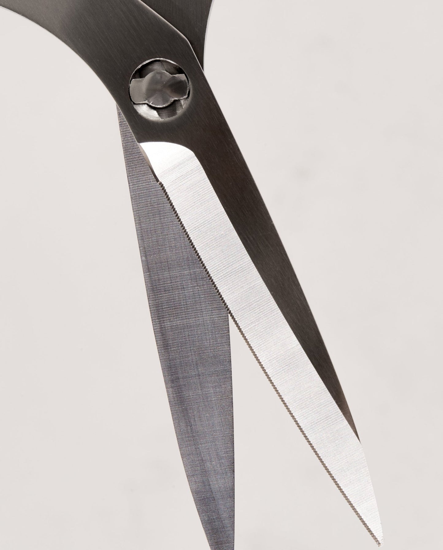The Good Shears - Nordic Catch