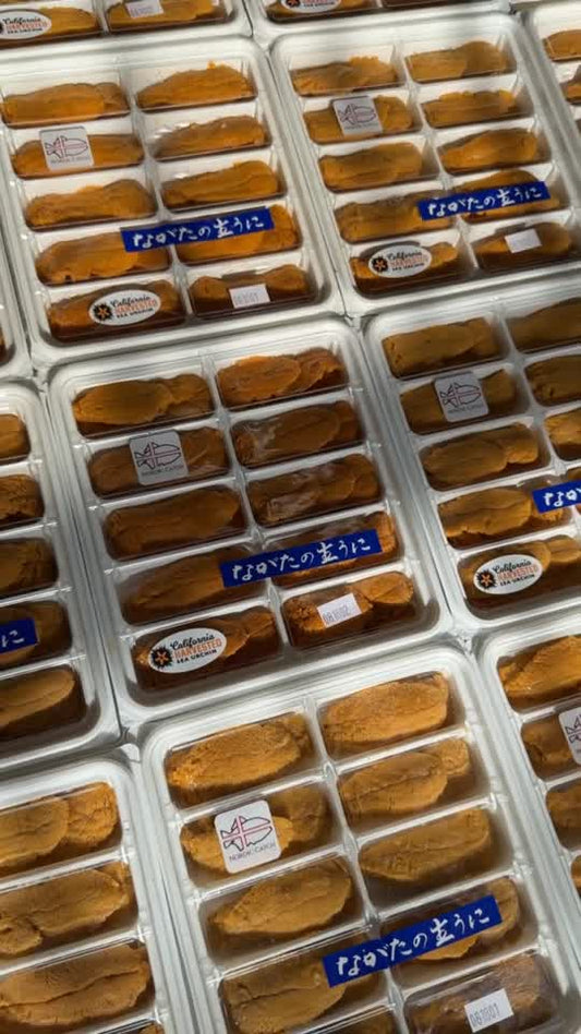 #tolstoy-video-preview-https%3A%2F%2Fvideos.gotolstoy.com%2Fpublic%2F617d5ec4-862b-4fcd-bce2-0e3f156d8056%2F64dade76-663f-4d93-a796-7f04db110b26%2F64dade76-663f-4d93-a796-7f04db110b26.mp4