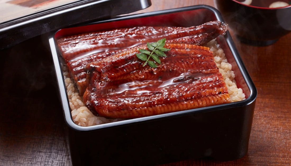 Omega-3 fatty acids in seafood highlighted by a whole teriyaki-glazed unagi eel fillet over brown rice in a traditional Japanese lacquer bento box