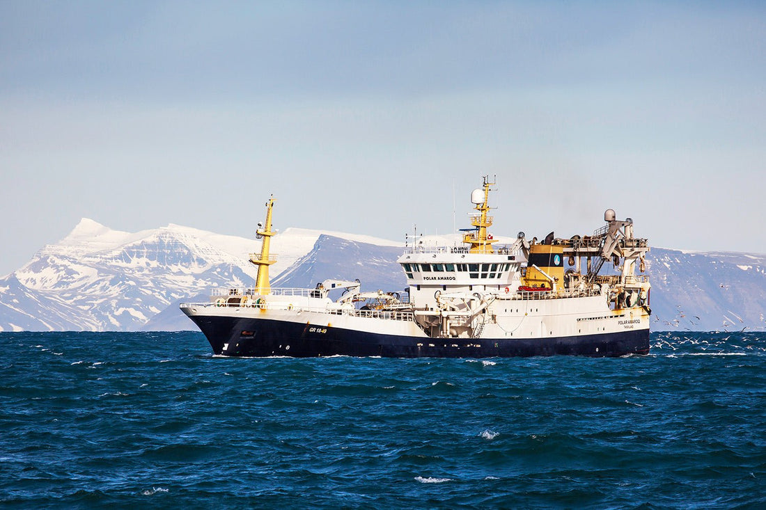 The best seafood in the country delivered fresh - Nordic Catch