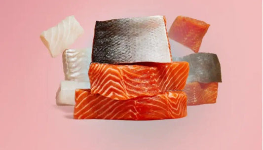 Why Icelandic Seafood Leads the Way in Global Gourmet Cuisine - Nordic Catch