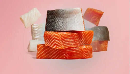 Why Icelandic Seafood Leads the Way in Global Gourmet Cuisine - Nordic Catch