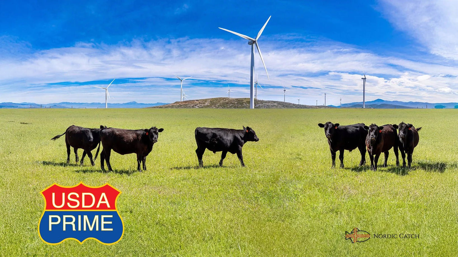 Grass Fed Beef - USDA Prime Pasture Raised Black Angus Steaks - Nordic Catch