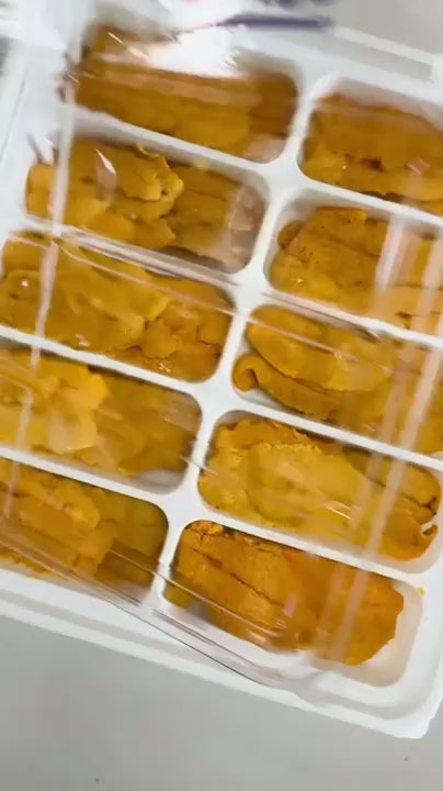 #tolstoy-video-preview-https%3A%2F%2Fcdn.shopify.com%2Fvideos%2Fc%2Fvp%2F1caaee07768341208f9994abfa0b4804%2F1caaee07768341208f9994abfa0b4804.HD-720p-2.1Mbps-56759148.mp4