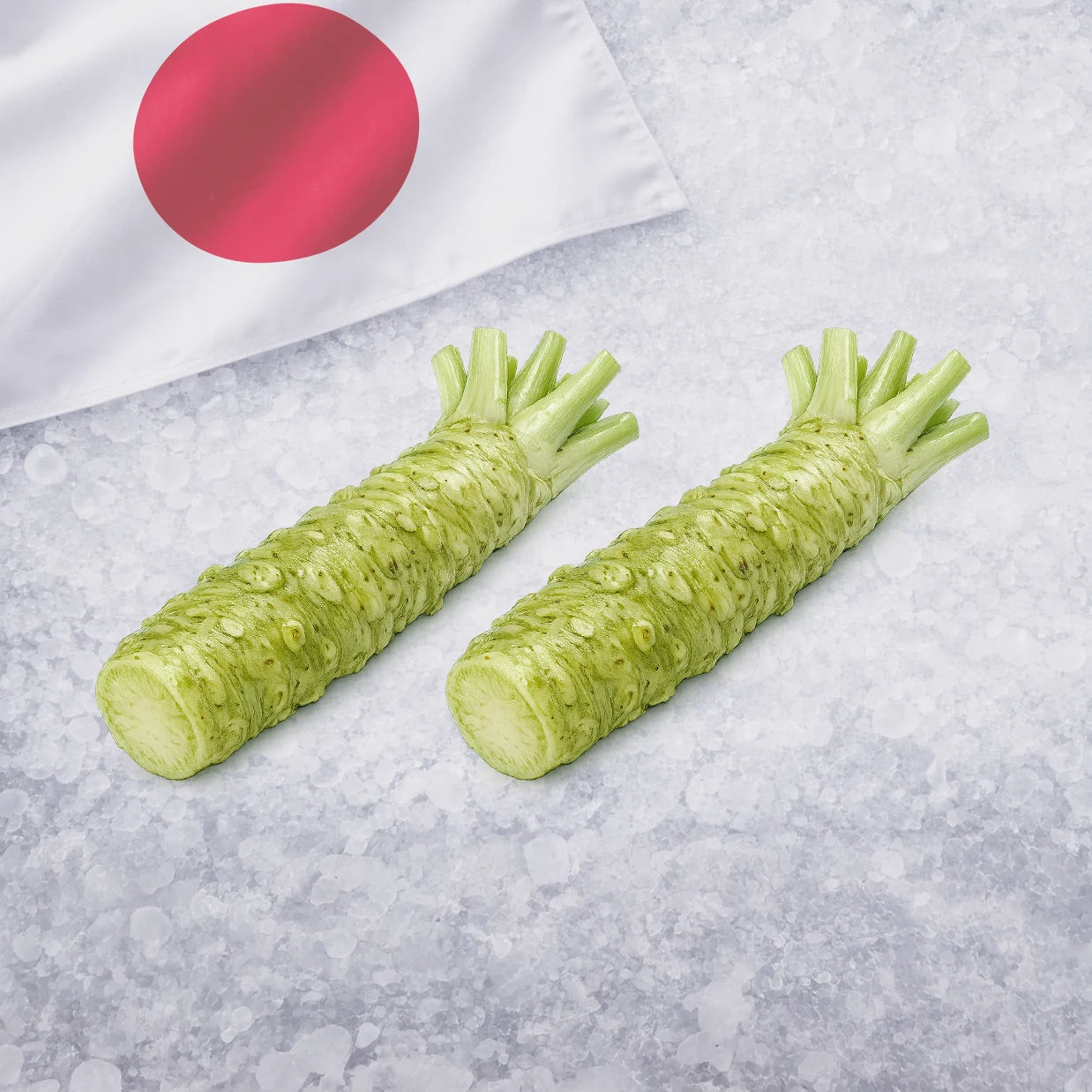 Fresh Japanese Wasabi Root (Real Wasabi Rhizome)