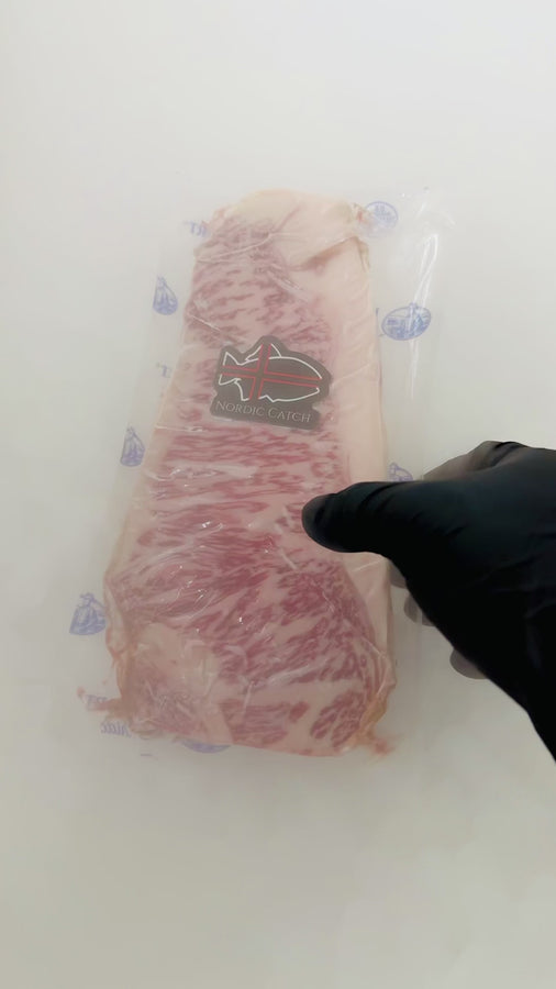 #tolstoy-video-preview-https%3A%2F%2Fcdn.shopify.com%2Fvideos%2Fc%2Fvp%2F304e6df2891641c0a57dbaaf7c427543%2F304e6df2891641c0a57dbaaf7c427543.HD-1080p-7.2Mbps-47936790.mp4