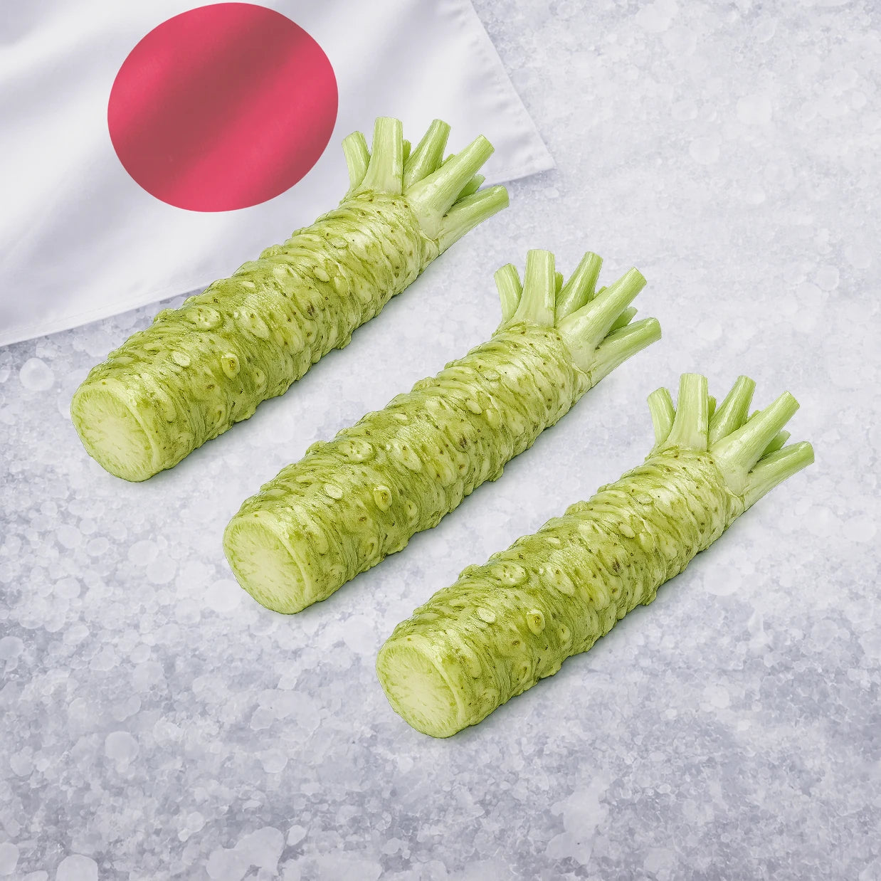 Fresh Japanese Wasabi Root (Real Wasabi Rhizome)