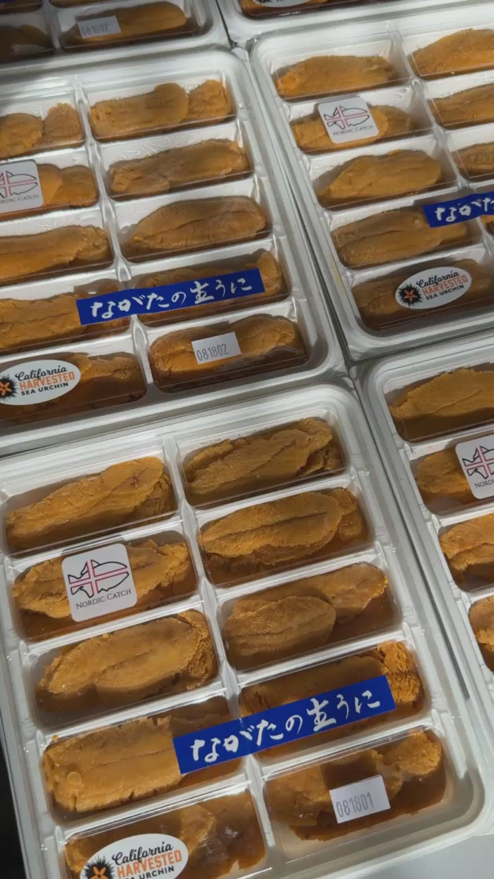 #tolstoy-video-preview-https%3A%2F%2Fcdn.shopify.com%2Fvideos%2Fc%2Fvp%2F43667abcd6234ab99488215c8a04a7cf%2F43667abcd6234ab99488215c8a04a7cf.HD-1080p-7.2Mbps-64321639.mp4