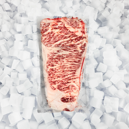 A vacuum-sealed cut of marbled NY  strip wagyu steak placed on white ice cubes.