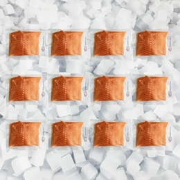 Twelve sushi-grade Arctic char fillets in vacuum-sealed packages arranged on crushed ice