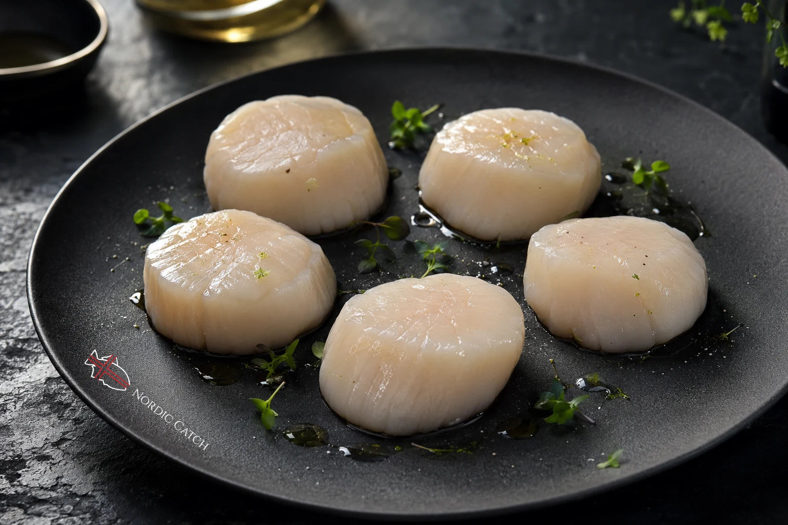 Five raw scallops arranged on a dark gray plate with a few sprigs of green herb and oil, photographed in a dark kitchen setting. The plate has a visible Nordic Catch logo.