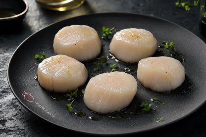Five raw scallops arranged on a dark gray plate with a few sprigs of green herb and oil, photographed in a dark kitchen setting. The plate has a visible Nordic Catch logo.
