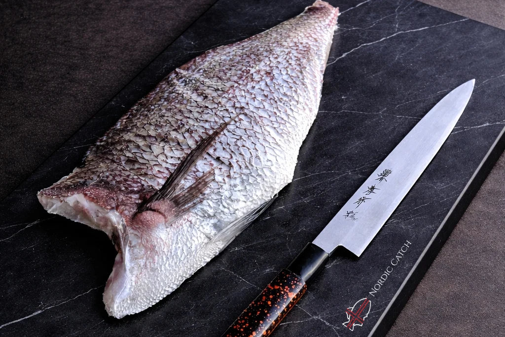 Japanese Red Sea Bream (Tai) - Kagoshima Madai Fillet for Sushi Japanese Red Sea Bream (Tai) - Kagoshima Madai Fillet for Sushi