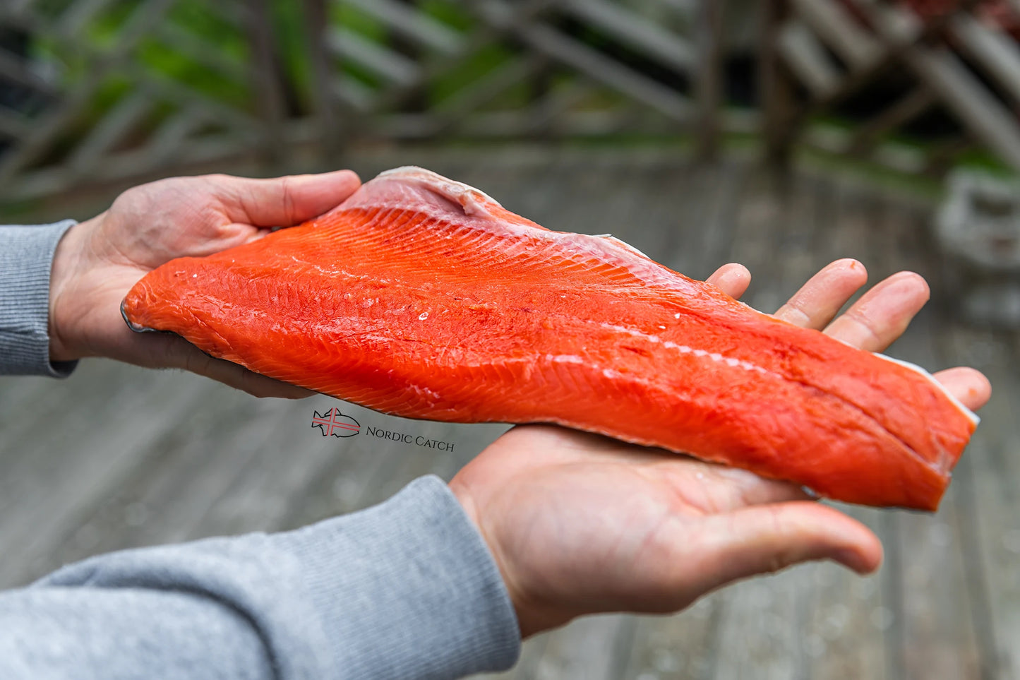 Raw salmon fillet held in hands with blurred background
