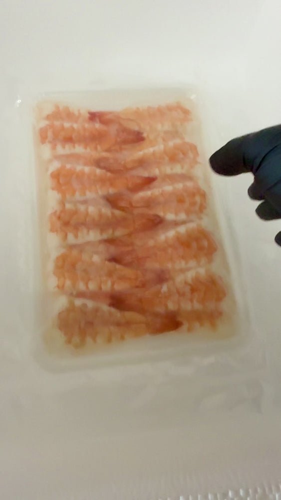 #tolstoy-video-preview-https%3A%2F%2Fcdn.shopify.com%2Fvideos%2Fc%2Fvp%2F73464463d4f340e6a61cd8a57f401dc8%2F73464463d4f340e6a61cd8a57f401dc8.HD-1080p-7.2Mbps-50190307.mp4