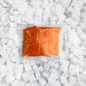 Icelandic Arctic Char Portion, Sushi Grade Skin - On (6oz portion) - Nordic Catch