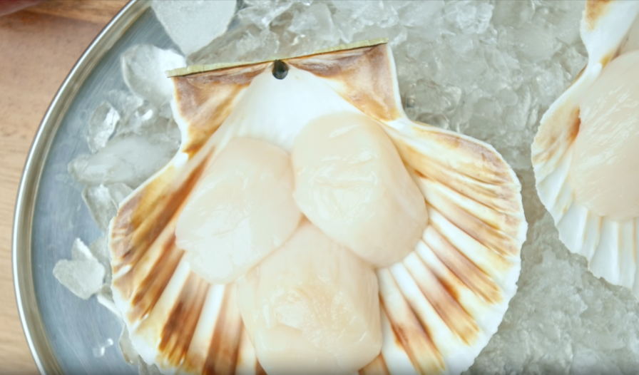 Hokkaido Sea Scallops