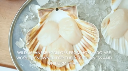 Hokkaido Scallops, Dry Extra Large 16-20 Size (2.2LB Bulk Case)
